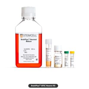 BrainPhys™ hPSC Neuron Kit