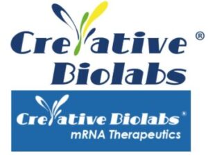 Creative Biolabs