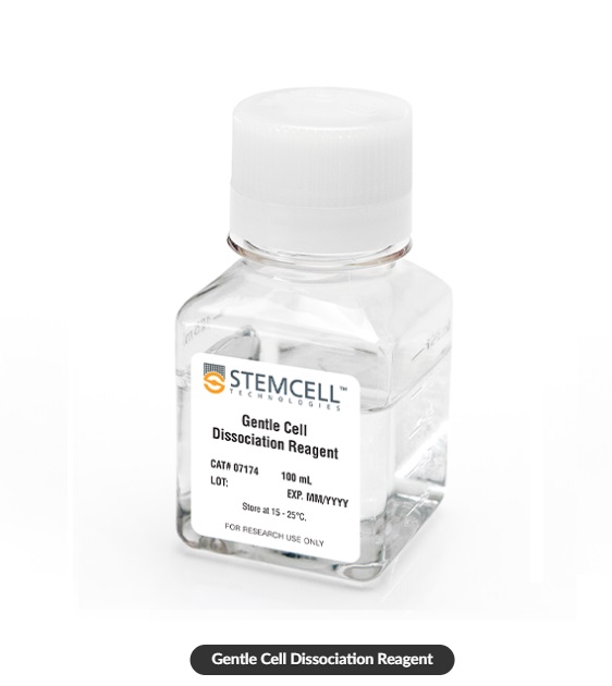 Gentle cell dissociation reagent