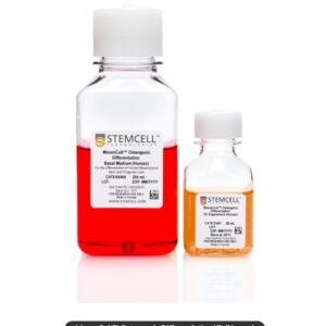 MesenCult™ Osteogenic Differentiation