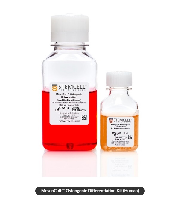 MesenCult™ Osteogenic Differentiation