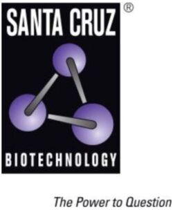 Santa Cruz
