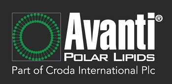 Avanti