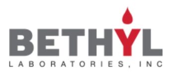 Bethyl Laboratories