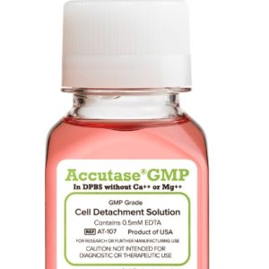 AccutaseGMP